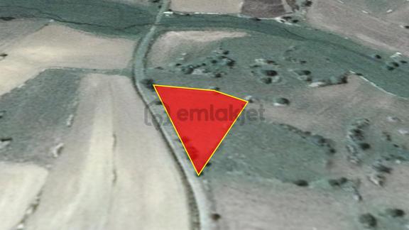 Satılık 1.215 M2 Tarla Kadastro Yola Parsel Çavdarhisar / Kütahya 1