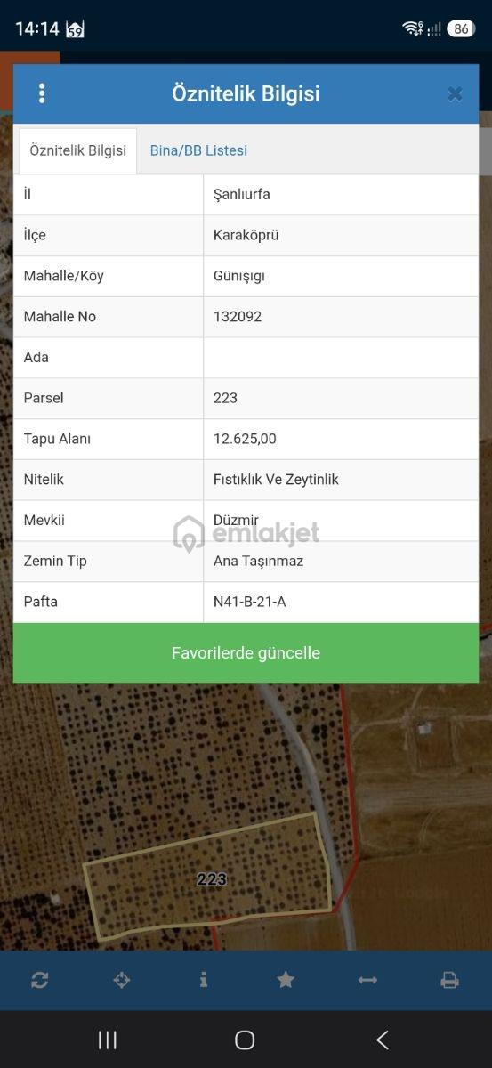Yasin Batan'dan Günışık Bozova Yola 300metre Müstakil Fıstıklık! 2