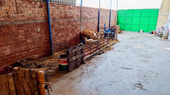Söke Yenidoğanda 200 M² Satılık Depo | 5 Metre Kapı Girişi 2