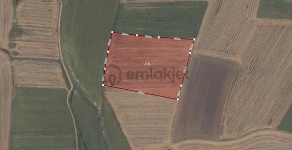 Tekirdağ Hayrabolu Çene Mahallesi Satılık 21.581,08m² Tarla 2