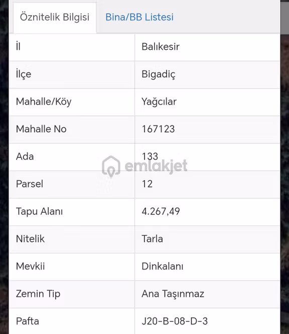 Elfi Den Satılık Yatırımlık Tarla 2