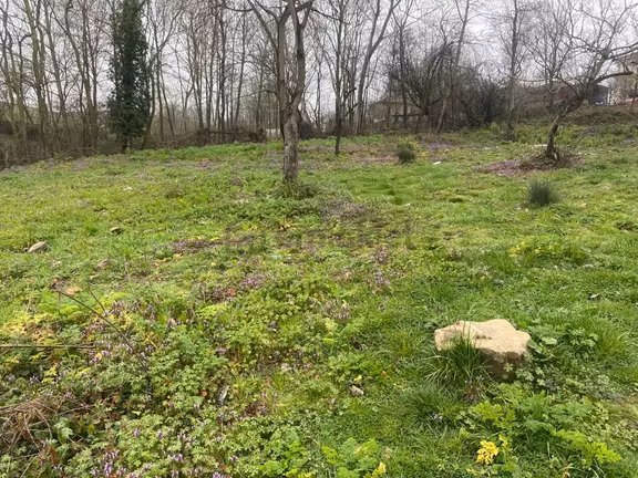 Kandıra Selimli Köy Satılık Arsa 1