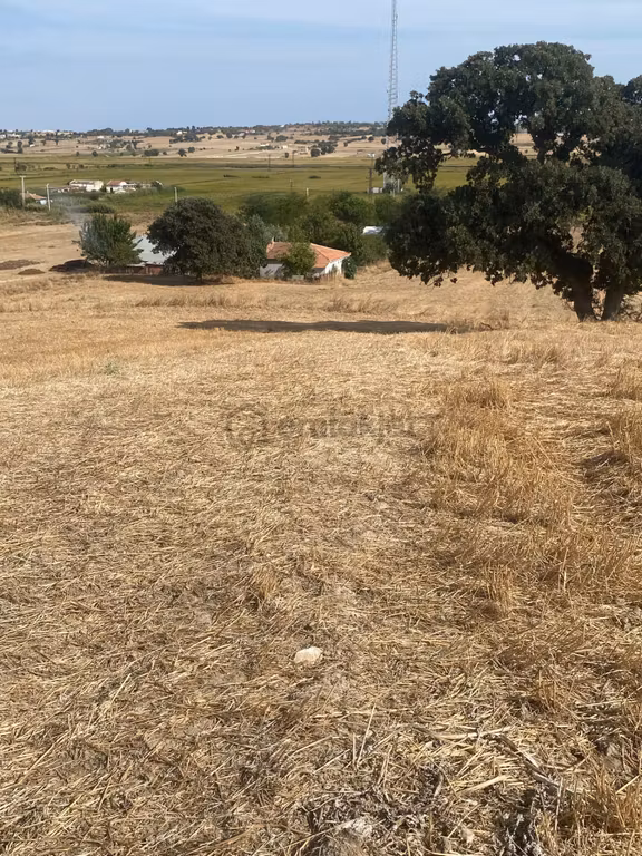 Enez Sultaniçe Köyü 2900 M² Satılık Tarla 2