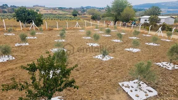 Bergama'da Baraj Manzaralı Yaşam Alanı (5439 M2) 2