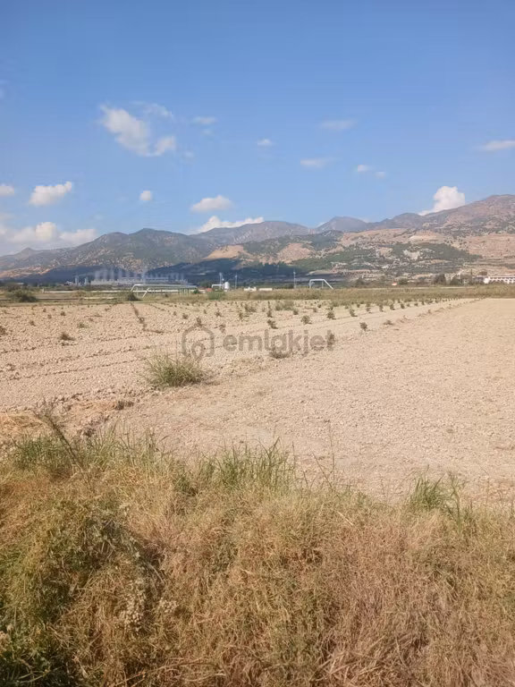 Denizli Sarayköy Karataş Köyü İki Ayrı Yer Yanyana 450 Adet 2 Yaşında İncir Bahçesi İzmir Yolu Altı 2