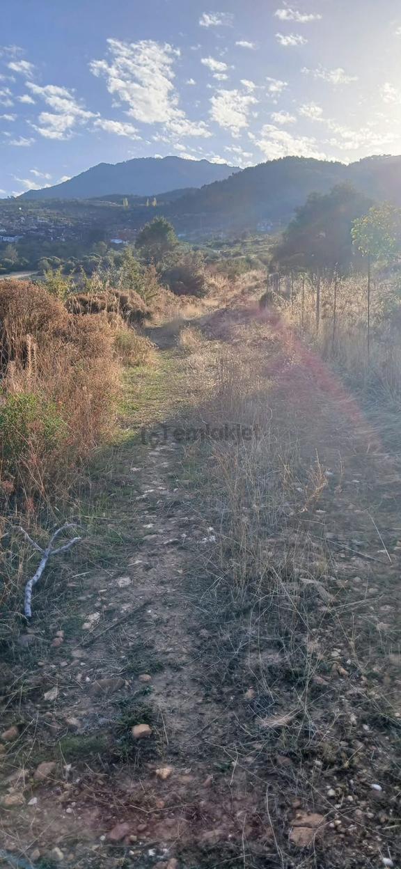 Karacasu Alemler'de 5600 M² Doğa Manzaralı Satılık Tarla 1