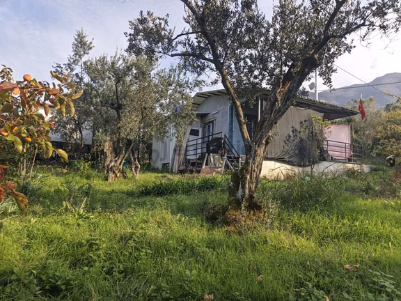 40 M² Ev Elektirii Su İnternet Mevcut 440 M² Zeytin Bahcesi 2