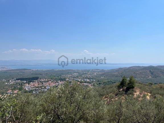 Kavuşturan Emlak'tan Güre'de Deniz Manzaralı Fırsat Zeytinlik 1