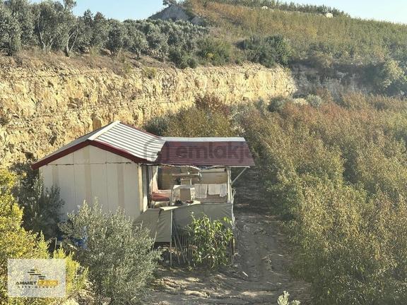 Ahmet Kara'dan İhsaniye(bağcılar) Mah.de Satılık 28 Dönüm Bahçe 1