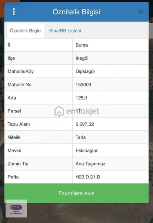 Tıg Inegöl'den Dipsizgöl Mahallesinde Yatırımlık Tarla 1