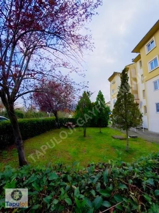 Beyköy Toki'de Kiralık 2+1 Daire 2