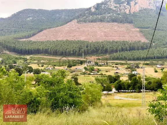 Bucak Beşkonak'ta Doğayla İç İçe Satılık 1666 M² Tarla Ve 1+1 Ev 1
