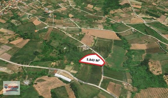 Yalova Remax'dan Sugören'de Satılık Tarla 2