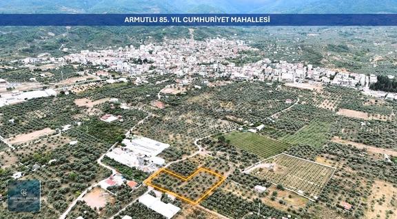 Kemalpaşa Armutluda 7.636 M² Satılık Zeytinlik 2