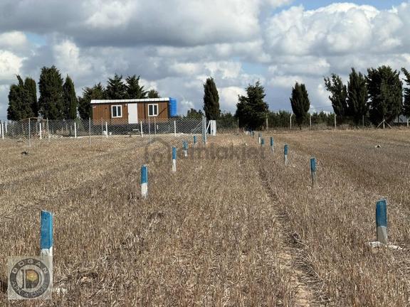 İstanbulun Yanı Başında Ful Deniz Manzaralı 300m2 Arsalar 250bin 1