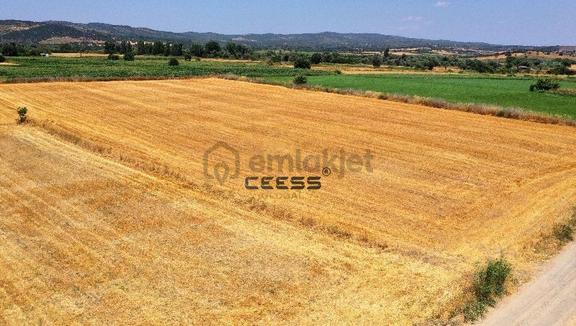 Çanakkale Ezinede 2.267 M² Satılık Arsa 2