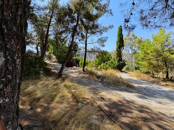 Seydikemer Yakabağ Mahallesinde İlkon'dan Satılık Tarla 1