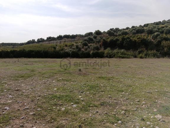 Fa Emlaktan Hebillide 8850m2 Satılık Tarla 2