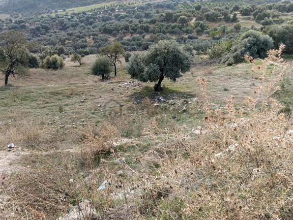 Mersin Akdeniz Hebilli Mahallesi Satılık 2428m2 Arsa 2
