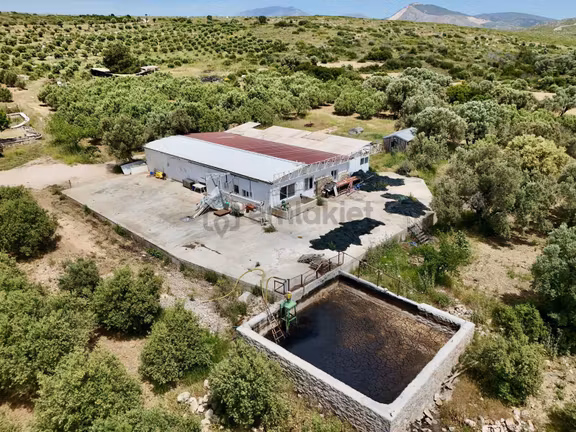 Çeşme Ildır'da Satılık 47 Dönüm Tarla Ve Zeytin Yağı Fabrikası 2