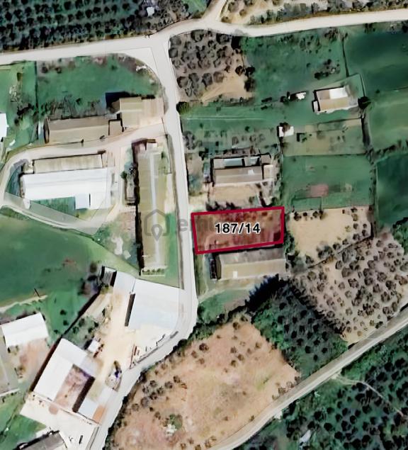Sarı Alan İçinde, Yola Cepheli İki Bitişik Bağ Parseli 1