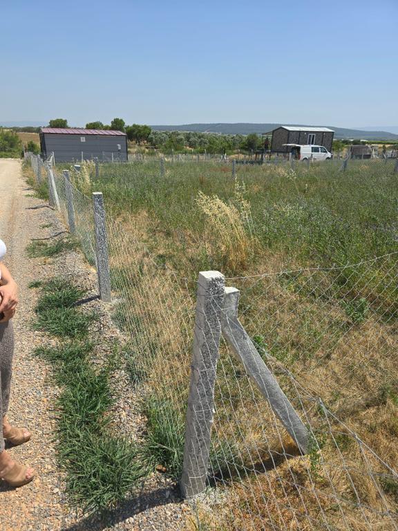 Menderes Oğlananası'nda Homeros Kooperatifi 125 Nolu 245 M² Muvafakatnameli Satılık Hisse 1