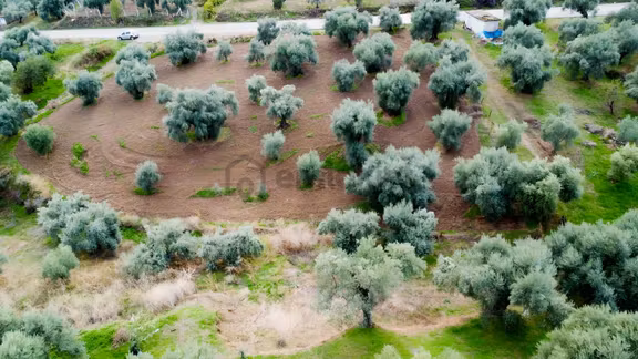 Aydın Efeler Çayyüzü Mahallesinde Satılık 250 M² Hobilik Arazi 2
