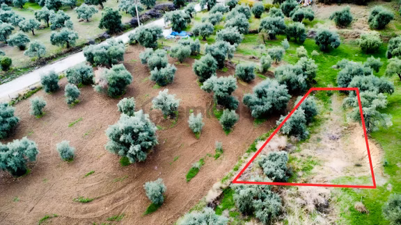 Aydın Efeler Çayyüzü Mahallesinde Satılık 250 M² Hobilik Arazi 1