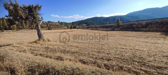 Fethiye Yoluna Sıfır 1820 M2 Yerleşime Sıfır Tarla 1