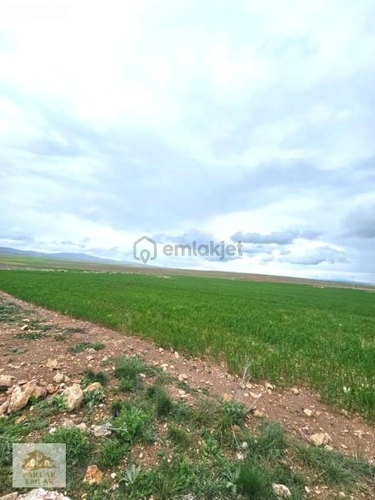 Eskişehir Seyitgazi^de Yatırımlık Fırsat 34311 M2 Arsa Tarla* 1