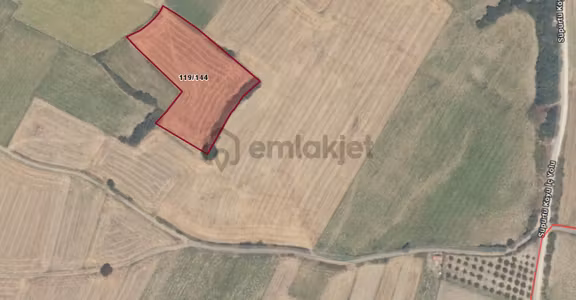 Bursa İnegöl İlçesi Süpürtü Mah. Satılık 7.433 M² Tarla 2