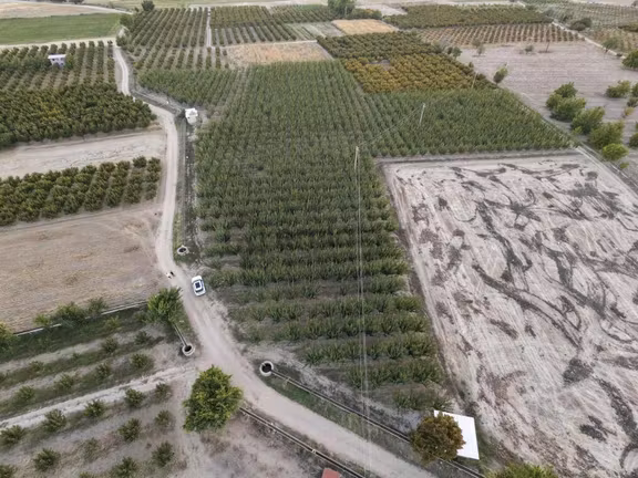 Çivril-menteş Mahallesinde 13.900m2 Verilmli Kayısı Bahçesi..!!! 2