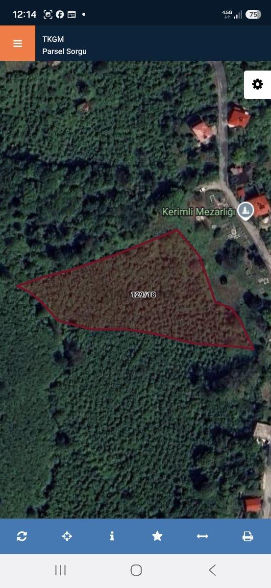 Tirebolu Emlaktan Yalı Köyde Satılık Arazi 1