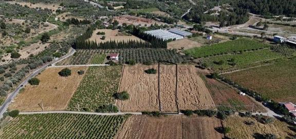 Menderes Akçaköy'de 3282 M2 Hisseli Tarla Satılıktır