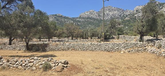 Stop’tan Seydikemer’de 3059m² Satılık Tarla 2