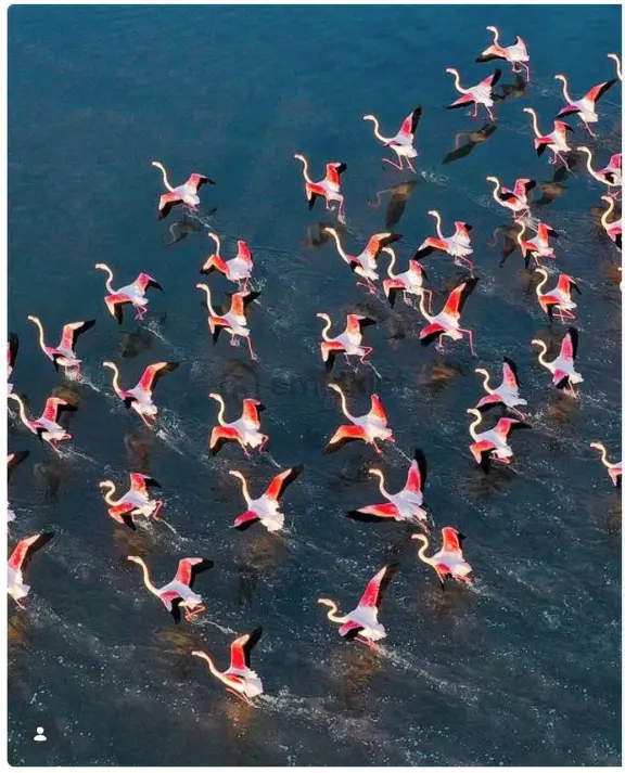 Muğla Bodrum Kelepir Satılık Daire 2
