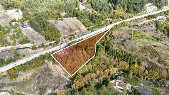 Bursa Osmangazi Çaybaşında Asfalt Cepheli 7.964 M² Tarla 2