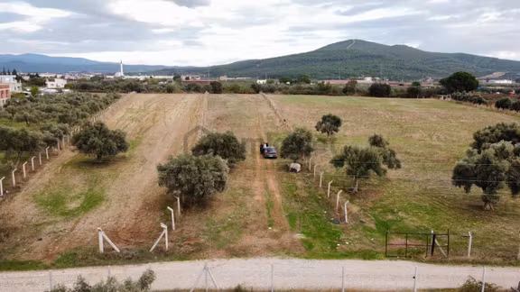 Philsa Caddesine Yakın Konumda Yolu Olan Ulaşımı Kolay 6446m² 1