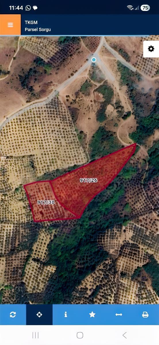 Yeniköye Yakın 11535 M2 Çok Güzel Konumda Tarla 2