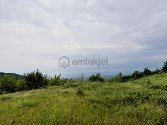 Yeniköye Yakın 11535 M2 Çok Güzel Konumda Tarla 1