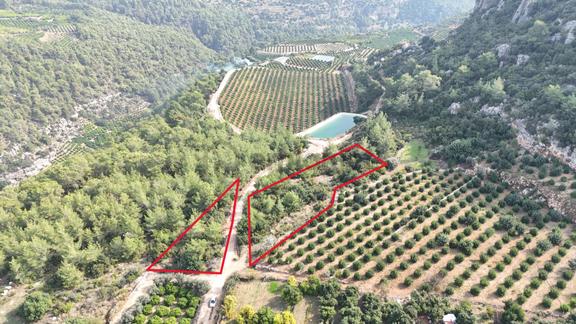 Gücüş Sarılar Mevkii Satılık 2 Adet Tarla 710+1444 M2 1