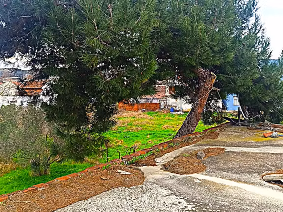 Bursa Mudanya'dadenize Yakın 247m. 750 M² Satılık Fırsat Arsa 2
