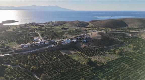Pasifik'ten Karaburun Salman'da 1.992 M² Tek Tapu Arazi 1