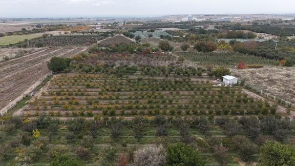 Sazlıca Yeni Mah. 5438 M2 Kurulu Satılık Bahçe , Cm Emlaktan 1