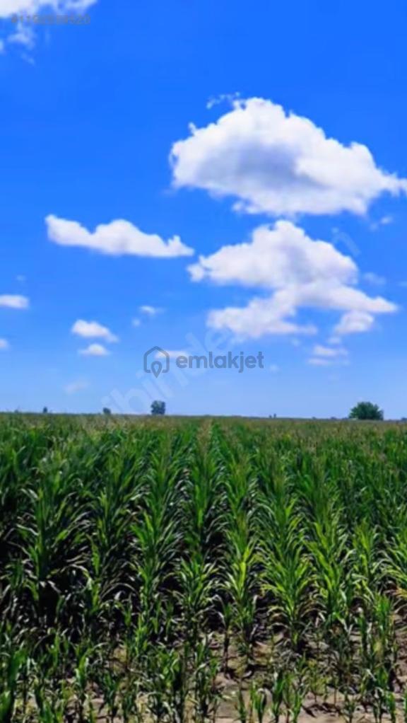 *kelepir*çukurova Havalimanı*na Yakın *tek Tapu* Yatırımlık 13125m2 Tarla *seyhan *büyükçıldırım*