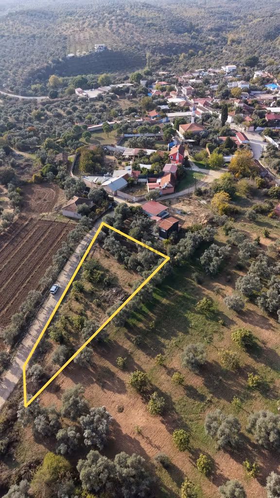 Aydın Germencik Dereköy’de Satılık 964m2 Köyiçi İmarlı Bahçe 2