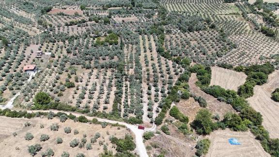 Muğla Menteşe Yeşilyurt Mah. 1.521 M2 Tarla 2