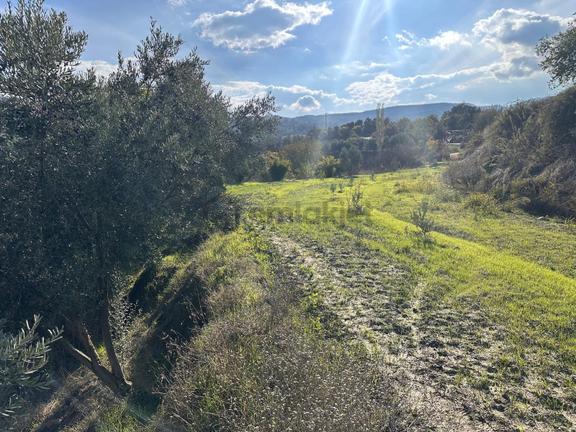 Muğla Menteşe Esençay'da 1.777m² Satılık Tarla 1