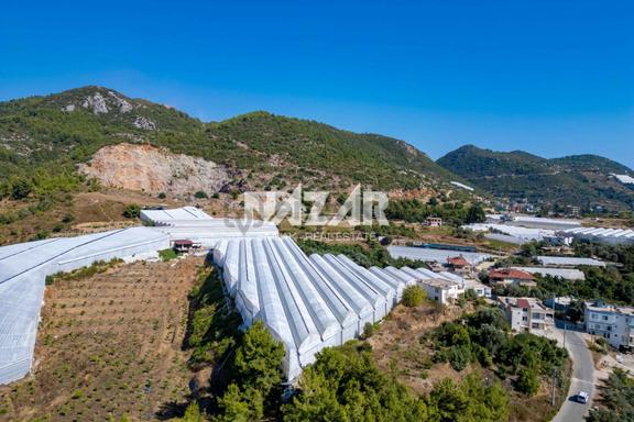 Alanya Elikesik’te 7.140 M² Satılık Tarla Ve Muz Serası 1