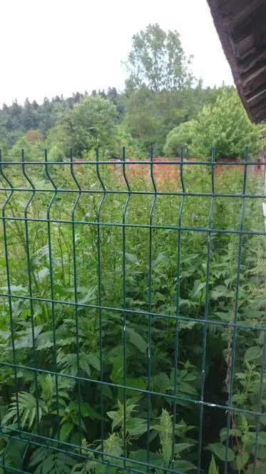 Tımaraktaş Köyünde 3500 M2 Köy Yoluna Sıfır Tarla